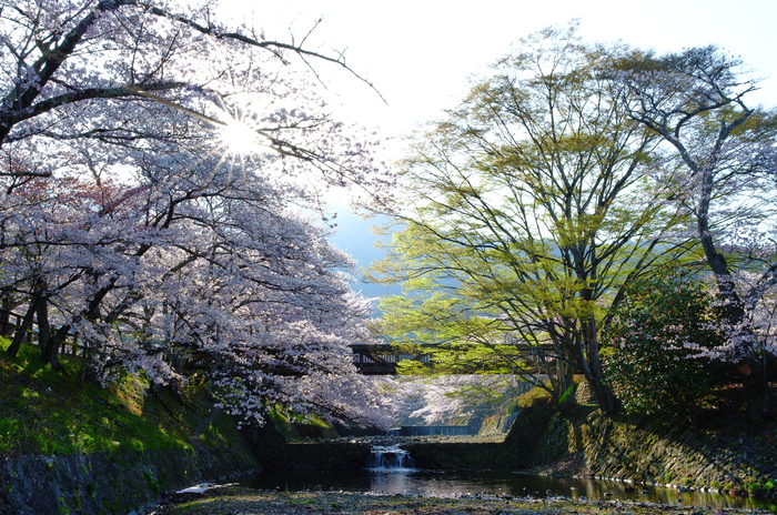 お写ん歩: 検索結果